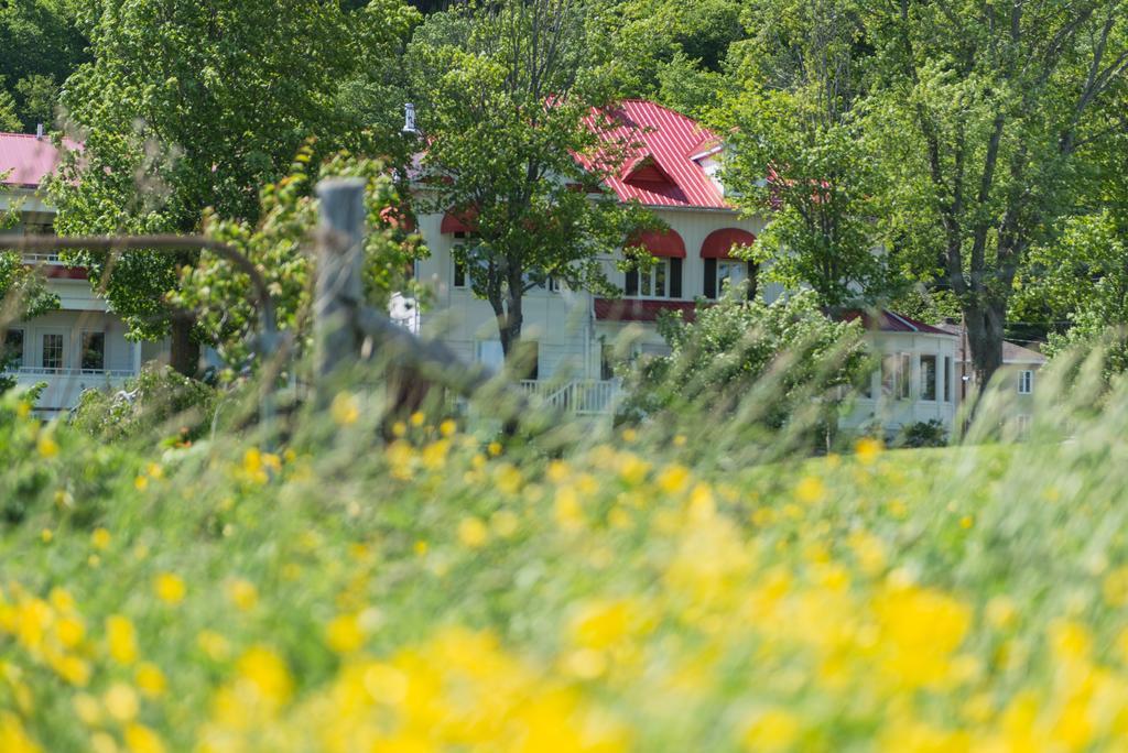 Auberge La Courtepointe 프티트-리비에르-생-프랑수아 외부 사진